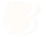 Bank of Baroda Logo